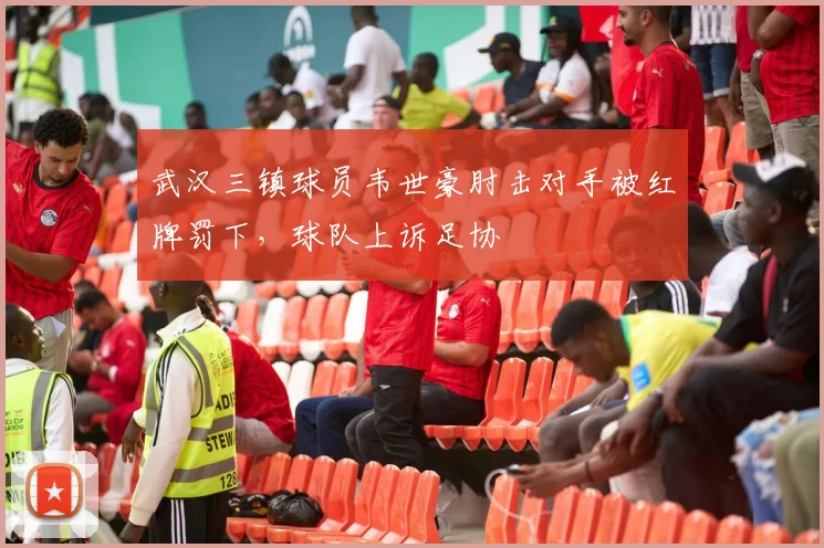 武汉三镇球员韦世豪肘击对手被红牌罚下，球队上诉足协